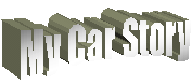 My Car Story